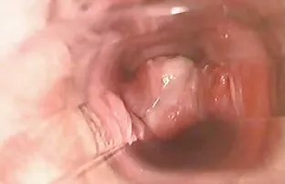 XXX دانش است که شور لینک کانالهای سکسی درتلگرام و شوق ایجاد