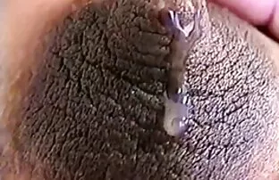 XXX ارضا سگ کانال تلگرام فیلم سگسی گرسنه خوبی
